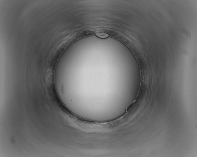 X0000115200036200911121852