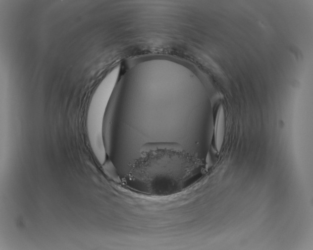 X0000115200039200911121852