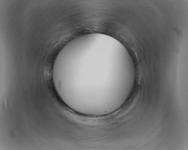 X0000115200040200911121852