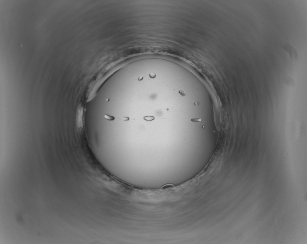 X0000115200041200911121852