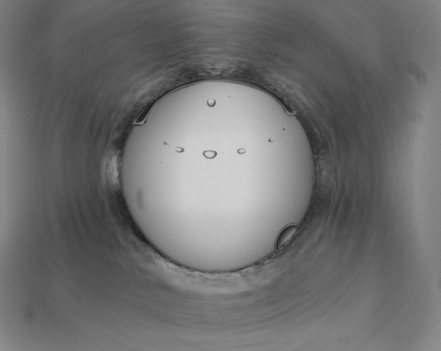X0000115200042200911121852