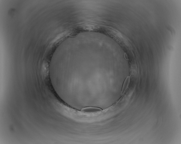 X0000115200043200911121852