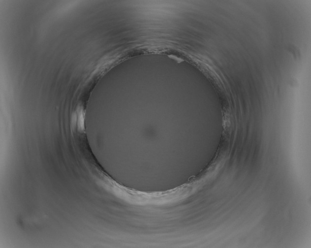 X0000115200046200911121852