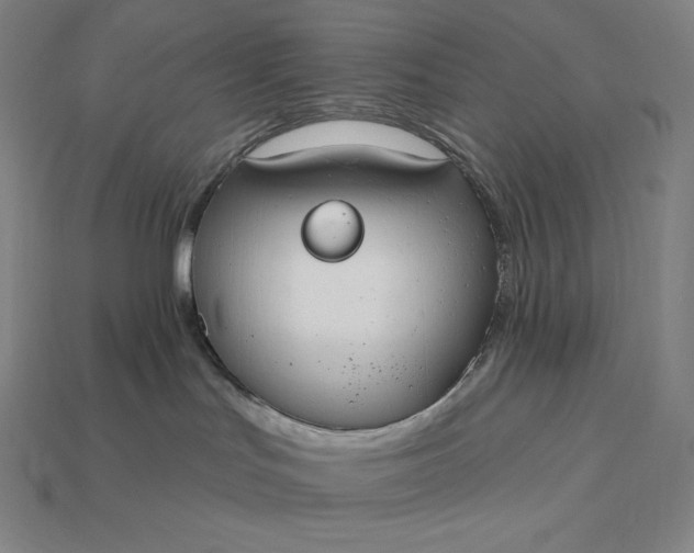 X0000115200047200911121852