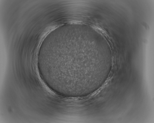 X0000115200049200911121851