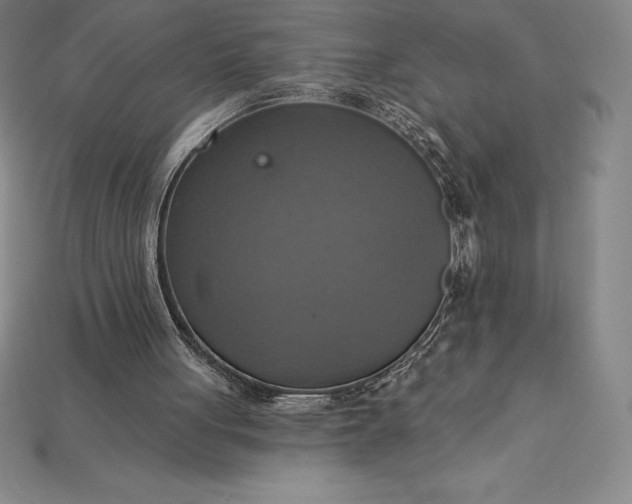 X0000115200051200911121851