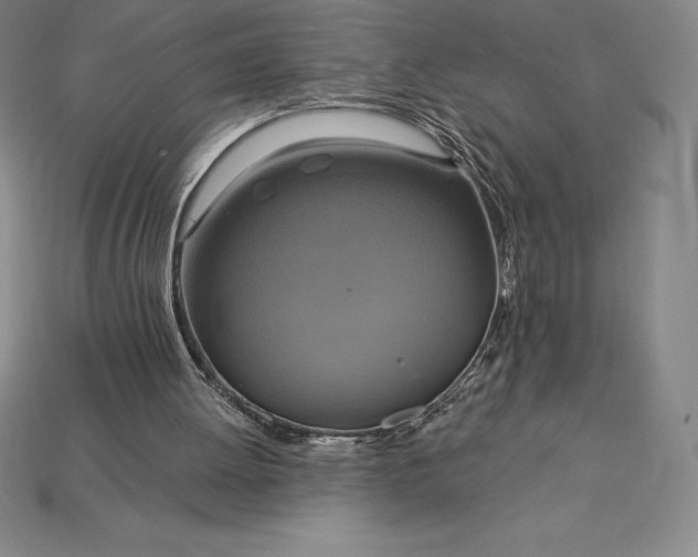 X0000115200052200911121851