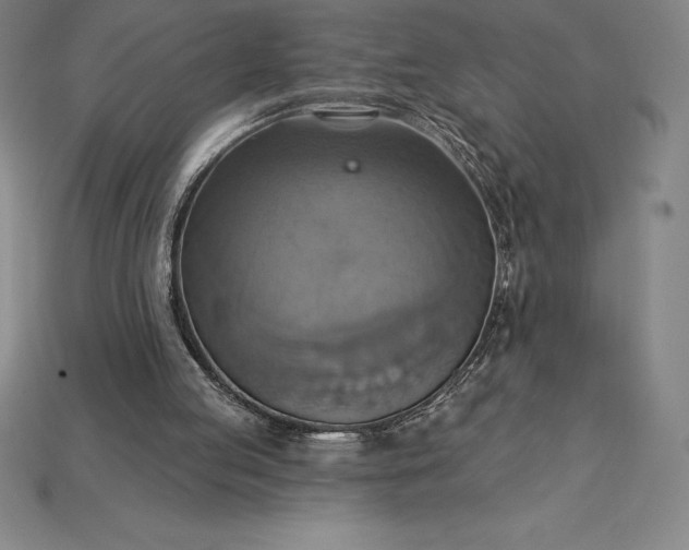 X0000115200053200911121851