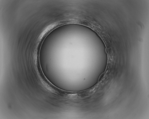 X0000115200054200911121851