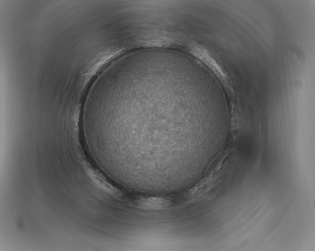 X0000115200058200911121851