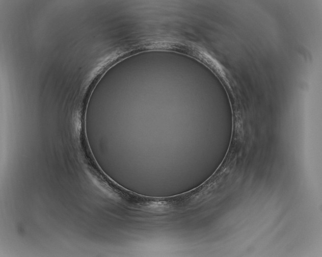 X0000115200059200911121851
