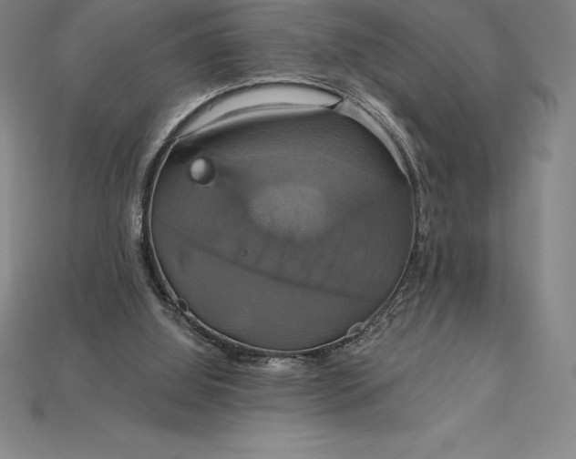 X0000115200060200911121851