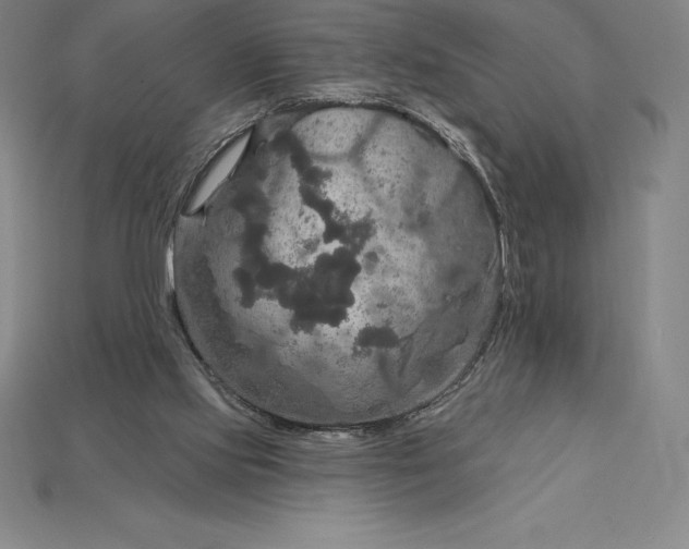 X0000115200061200911121851