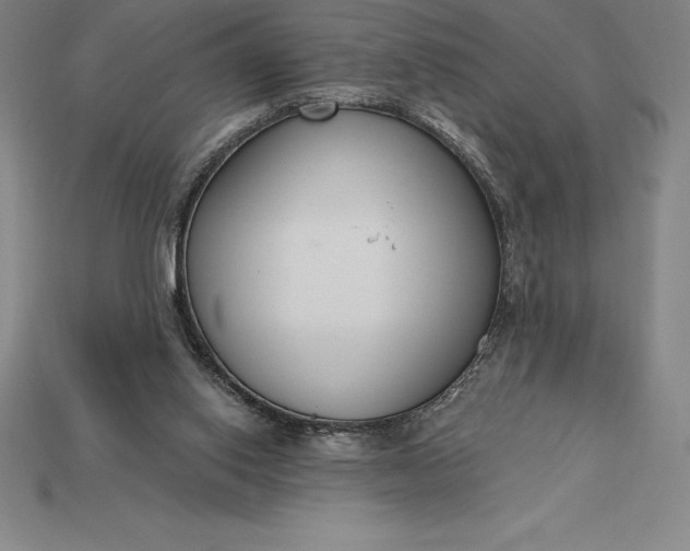 X0000115200062200911121851