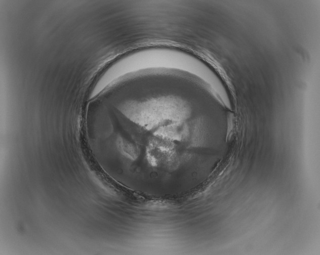 X0000115200063200911121851