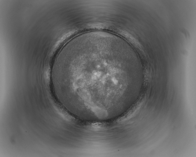 X0000115200064200911121851