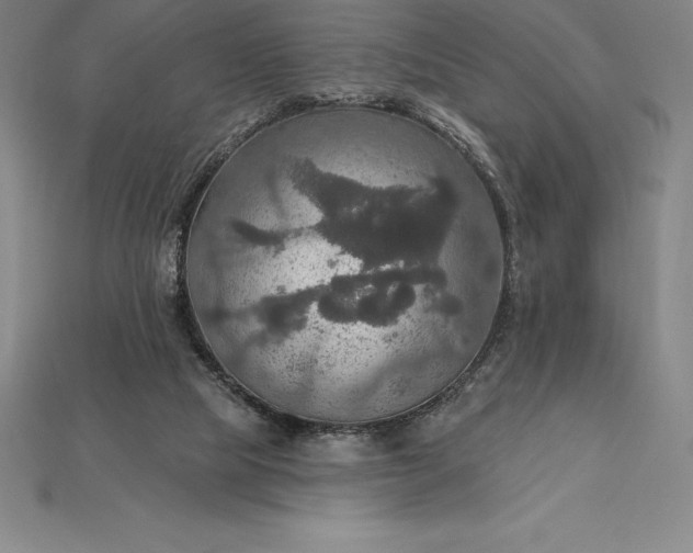X0000115200065200911121851