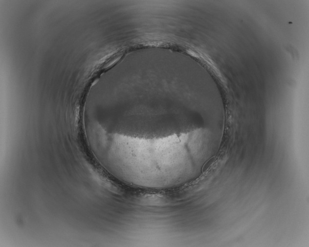 X0000115200066200911121851