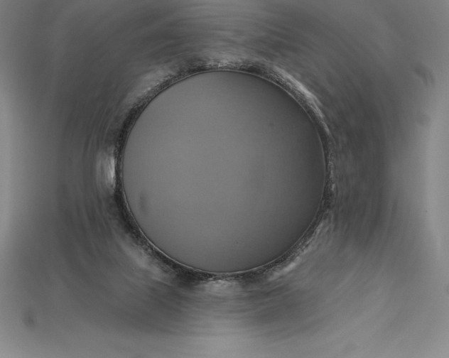 X0000115200067200911121851