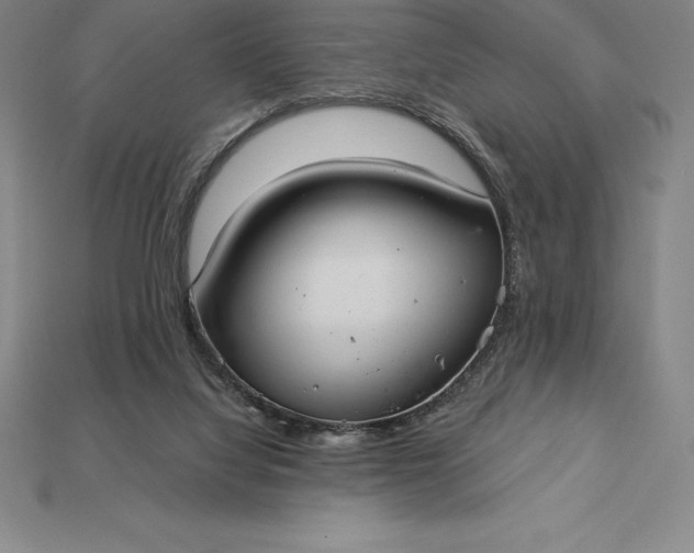 X0000115200068200911121851