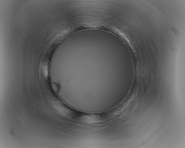 X0000115200069200911121852