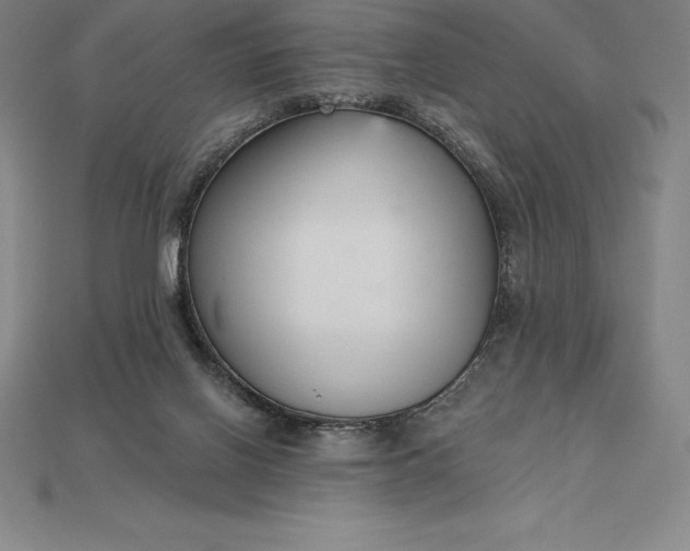 X0000115200070200911121852