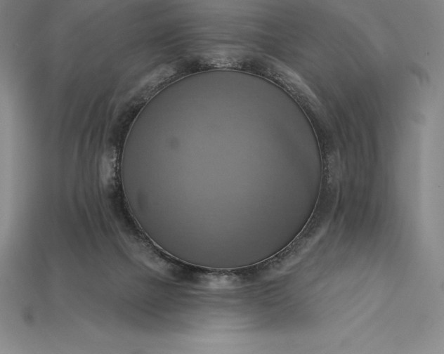 X0000115200073200911121852