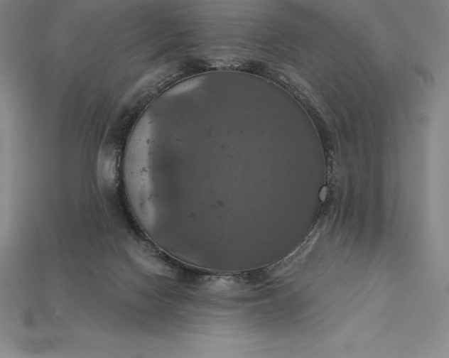 X0000115200074200911121852