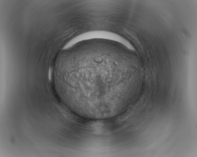 X0000115200075200911121852