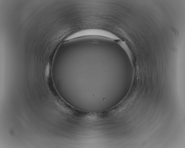 X0000115200076200911121852