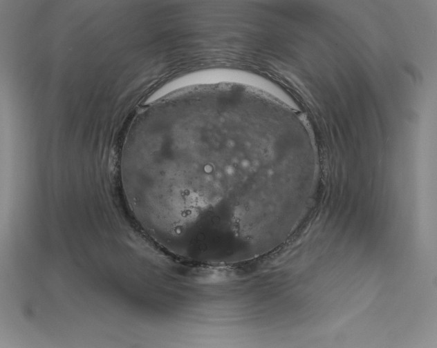 X0000115200077200911121852