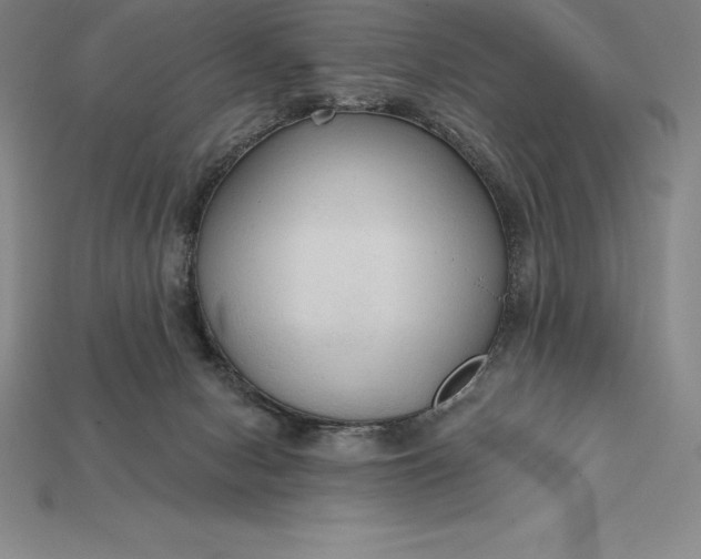 X0000115200078200911121852