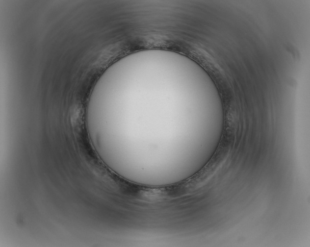 X0000115200079200911121852
