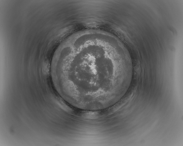 X0000115200081200911121852