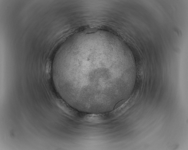 X0000115200082200911121852