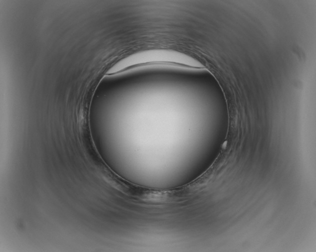 X0000115200084200911121852