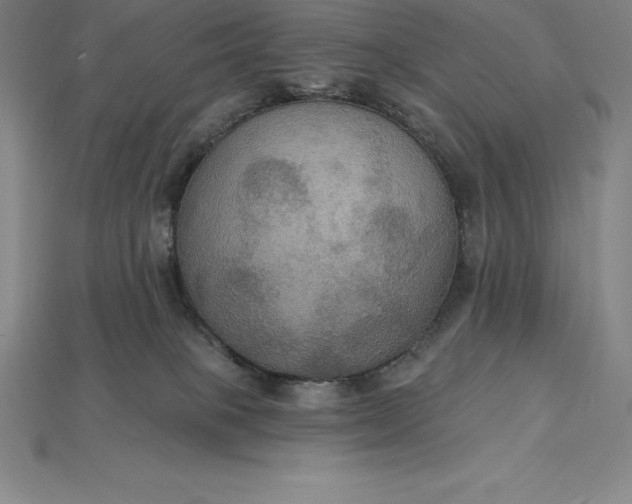 X0000115200085200911121852