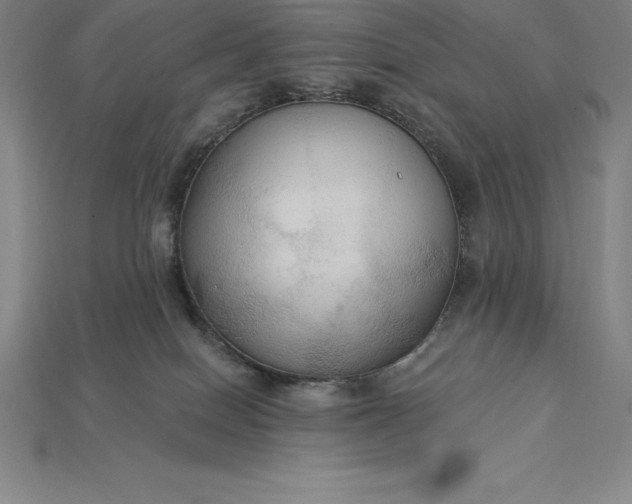 X0000115200086200911121852