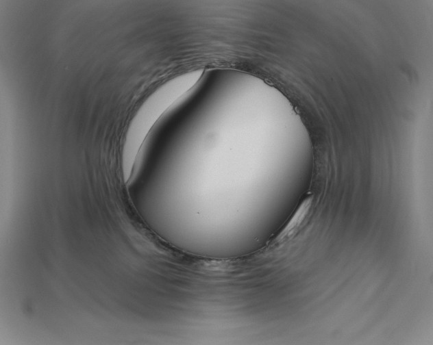 X0000115200088200911121852