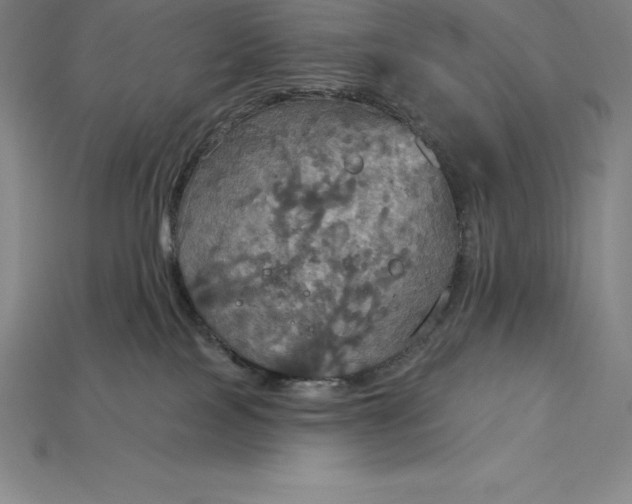 X0000115200089200911121852