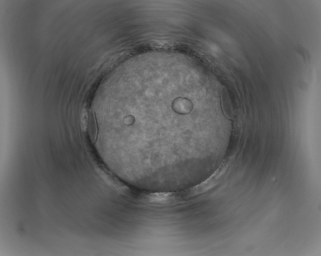 X0000115200090200911121852