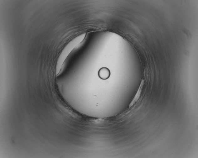X0000115200092200911121852