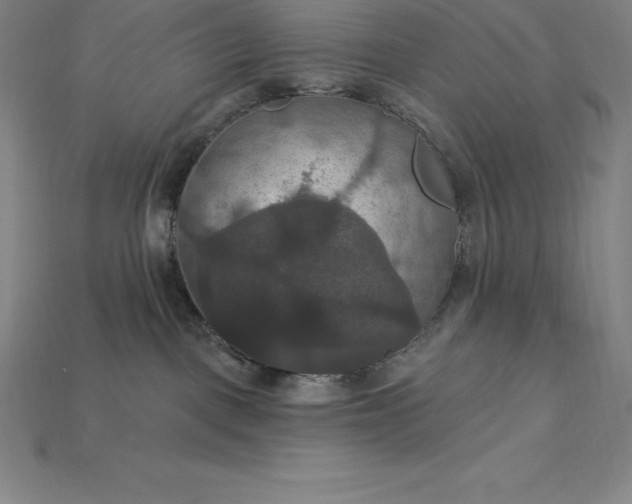 X0000115200093200911121852