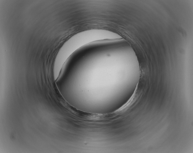 X0000115200094200911121852