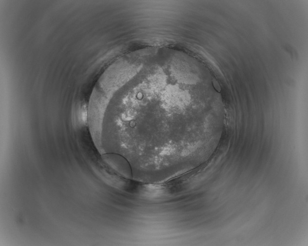 X0000115200095200911121852