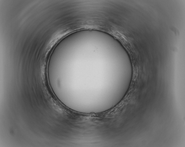 X0000115200098200911121851
