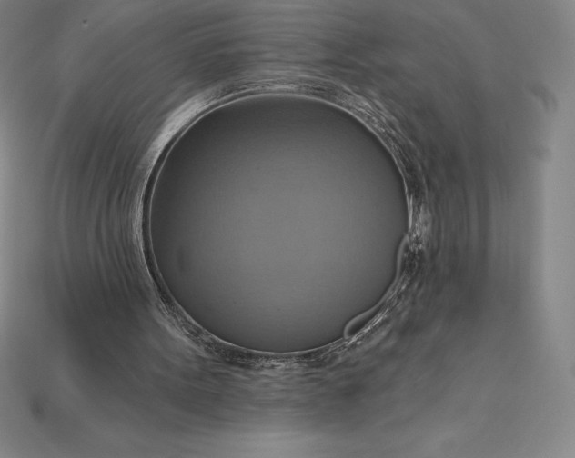 X0000115200099200911121851