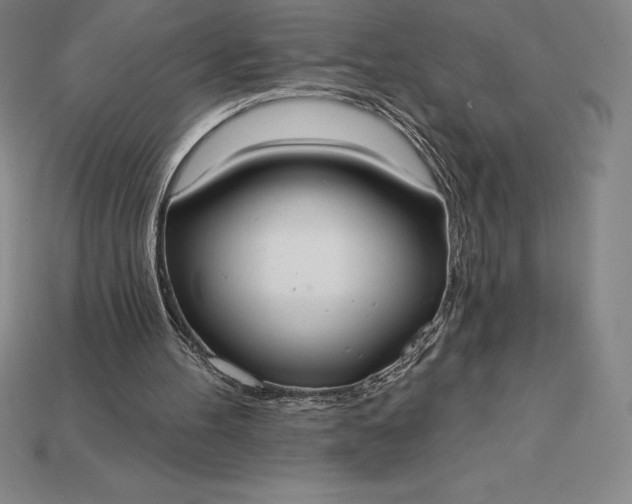 X0000115200100200911121851