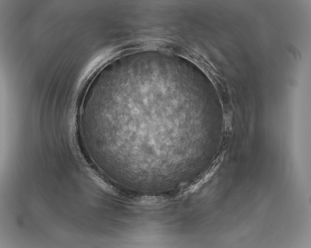 X0000115200101200911121851