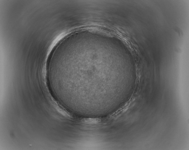 X0000115200102200911121851